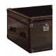 Rich Brown Leather & Stainless Steel Rectangle Coffee Table Trunk