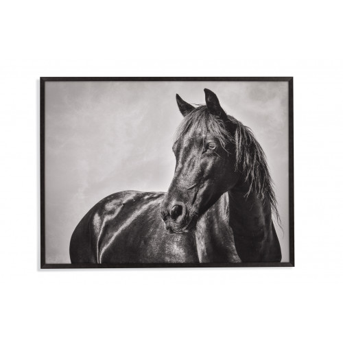 Black Horse Stallion Framed Photo Wall Art