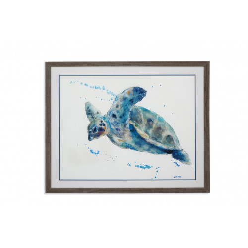 Sea Turtle Framed Under Glass Wall Art 
