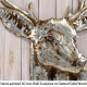 Silver Iron Deer Wall Sculpture on Slatted Solid Wood