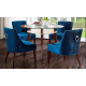Royal Blue Velvet Chair Dining Set of 2