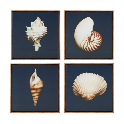 Shells on Deep Blue Canvas Framed Set of 4