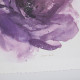Purple Rose Print Silver Frame Wall Art Set of 2