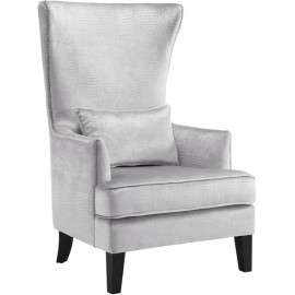 Silver Alligator Velvet Silver Nail Head Accent Wing Chair
