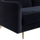 Black Velvet Mid Century Glam Sofa Gold Legs